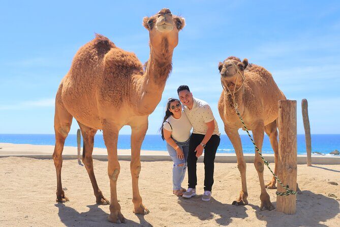 Beach ATV & Camel Ride COMBO in Cabo by Cactus Tours Park - What to Expect from the Tour