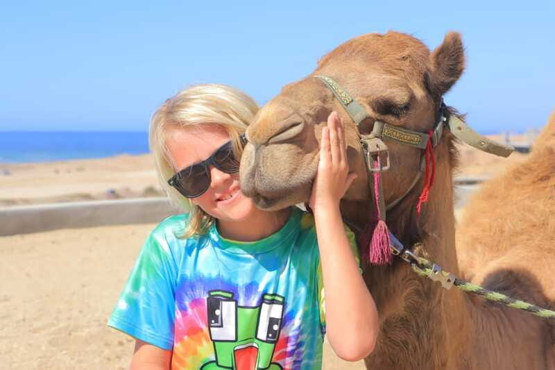 Beach Camel Ride & Encounter in Cabo by Cactus tours park - Who Will Love This Tour?
