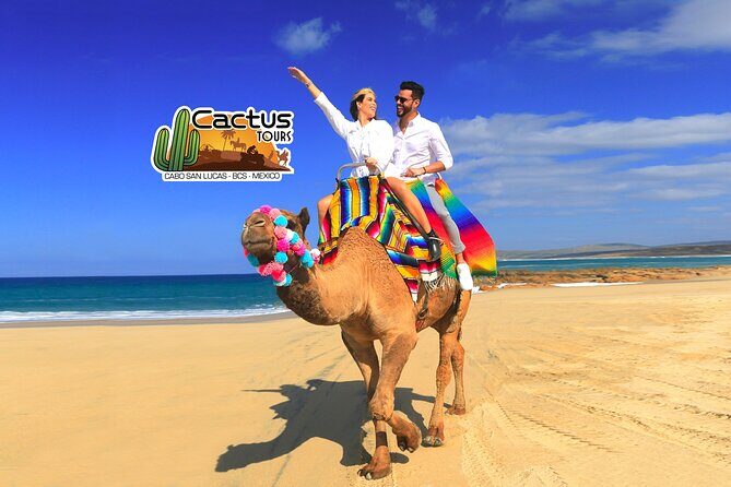 Beach Camel Ride & Encounter in Cabo - A Closer Look at the Experience