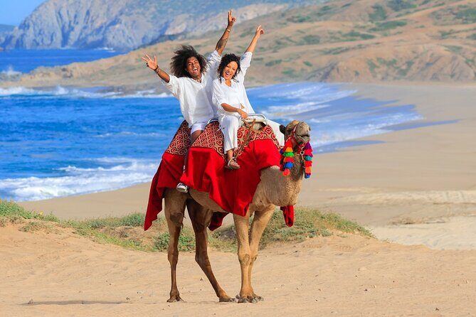 Beach Camel Ride & Encounter in Cabo - Who Is This Tour Best For?