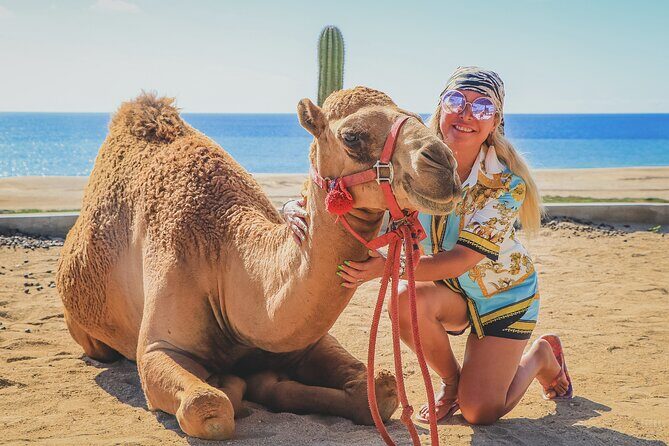 Beach Camel Ride & Encounter in Cabo - Final Thoughts