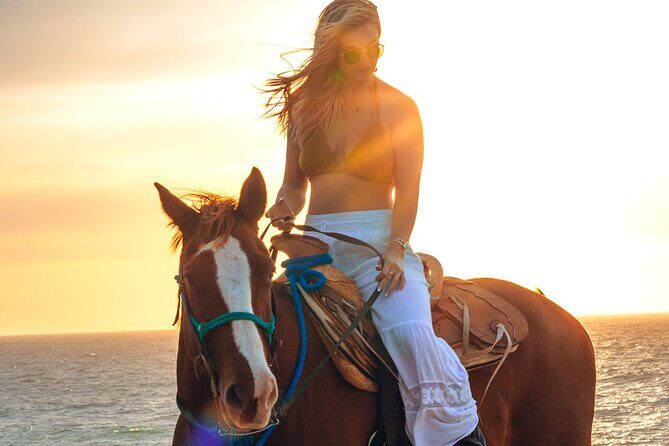 Beach Camel Ride & Sky Bike in Cabo by Cactus Tours Park - Who Should Consider This Tour?