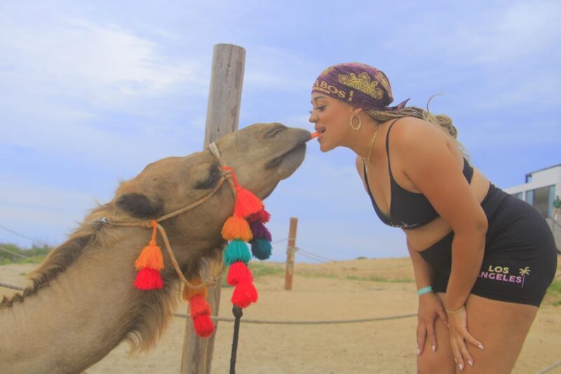 Beach CAN-AM SXS X3 & Camel Ride in Cabo by Cactus Tours - Who Should Consider This Tour?