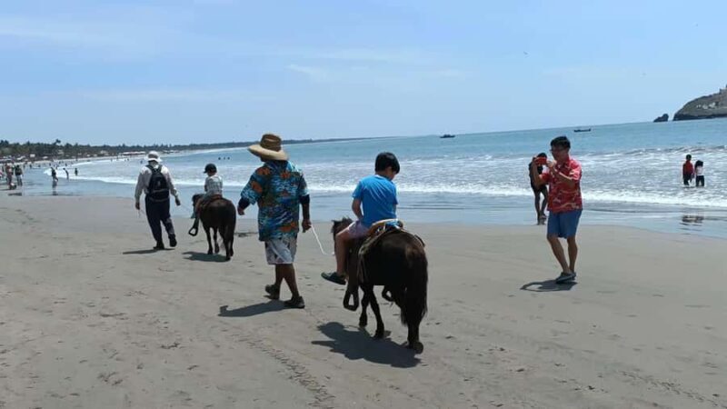 Beach Club All Inclusive: Horse Ride Water Sports Food Drink - Final Thoughts