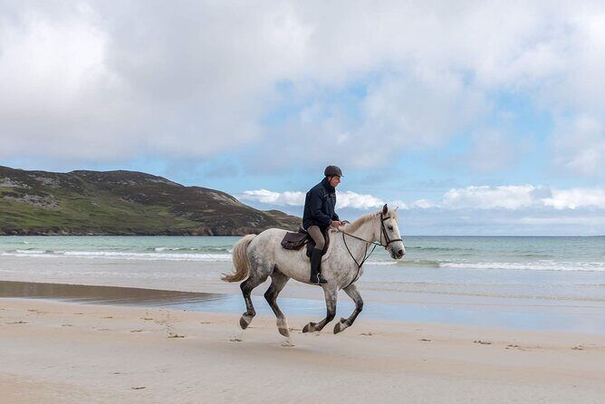 Beach & countryside horse riding outside Westport. Guided. 1 hour - Final Thoughts