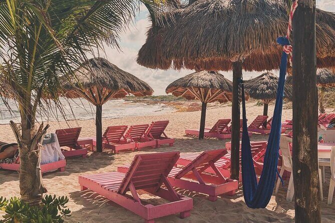 Beach day in Cozumel with roundtrip transportation - Key Points