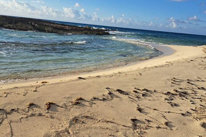Beach day in Cozumel with roundtrip transportation - Real Traveler Insights and Considerations
