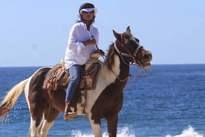 Beach & Desert Horseback Tour - Key Points
