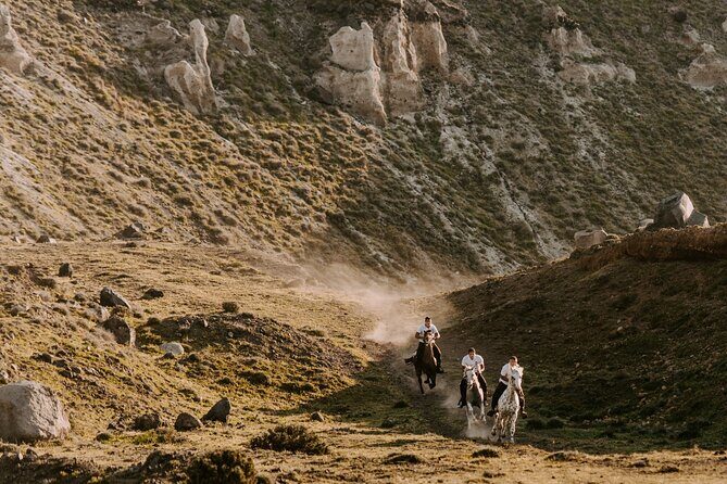 Beach gallop - horse riding Safari for experienced riders - What to Expect from the Tour