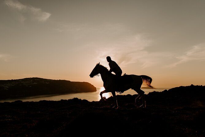Beach gallop - horse riding Safari for experienced riders - Authentic Experiences & Guest Feedback