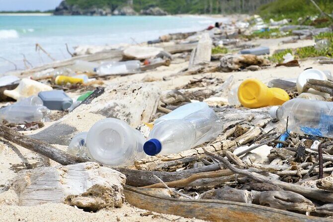 Beach Guardians Clean up & Picnic plus Otoch Mayan Experience - Who is This Tour Best For?