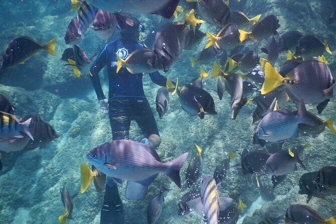 Beach Hopper, Amazing Snorkel Experience At Los Cabos! - Who Is This Tour Best For?