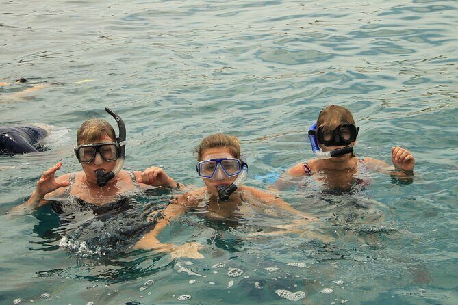 Beach Hopper, Amazing Snorkel Experience At Los Cabos! - FAQ