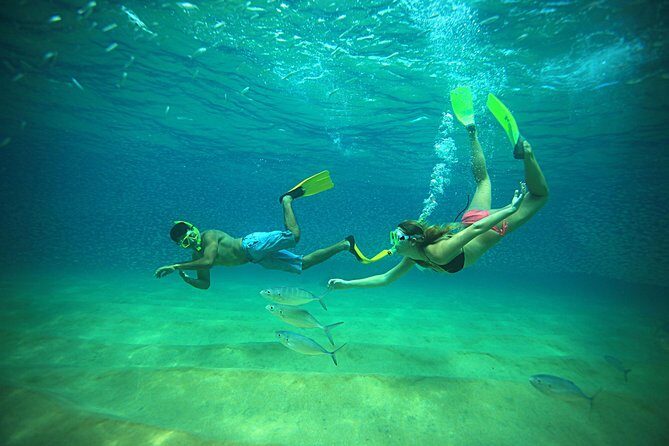 Beach Hopper Small-Group Snorkeling Tour in Los Cabos - Key Points