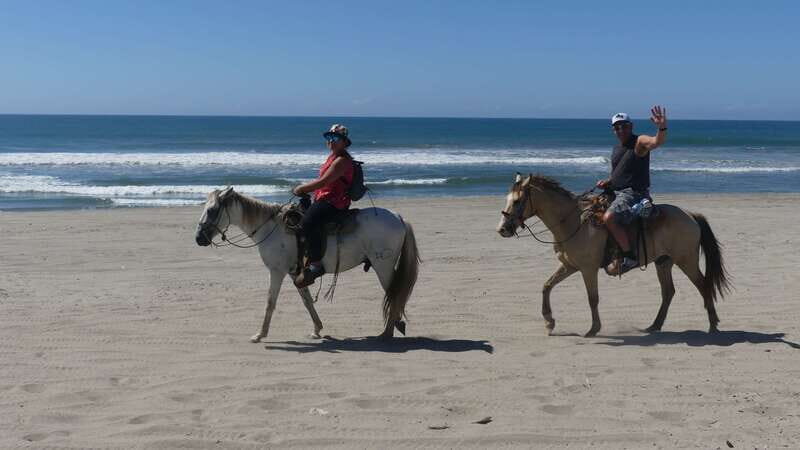 .Beach Horse Riding Turtle Release Crocodile Farm Experience - An Overview of the Experience