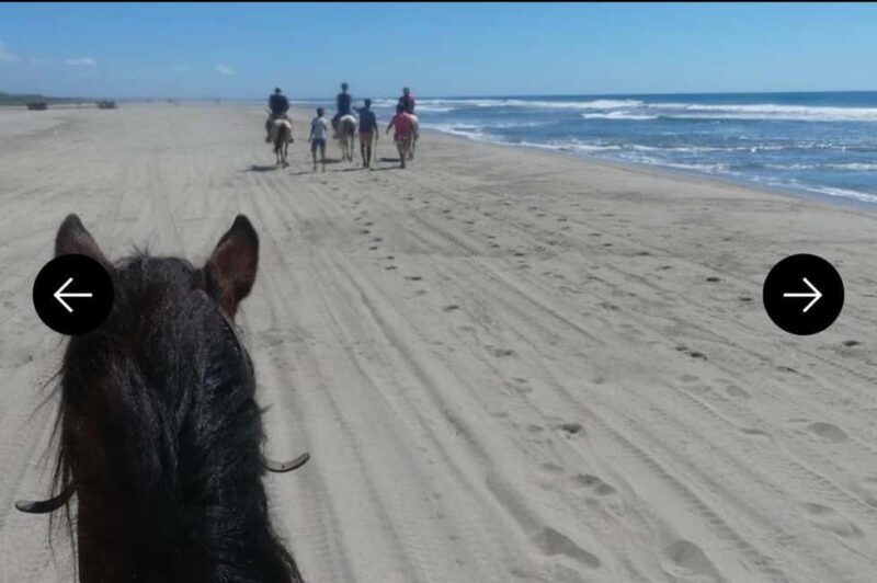 .Beach Horse Riding Turtle Release Crocodile Farm Experience - The Tours Length and Group Size