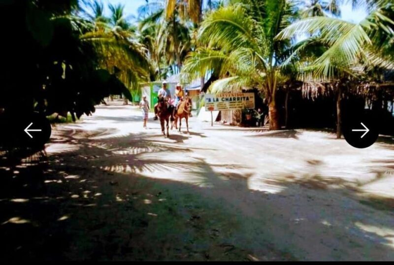 .Beach Horse Riding Turtle Release Crocodile Farm Experience - Practical Tips and Considerations