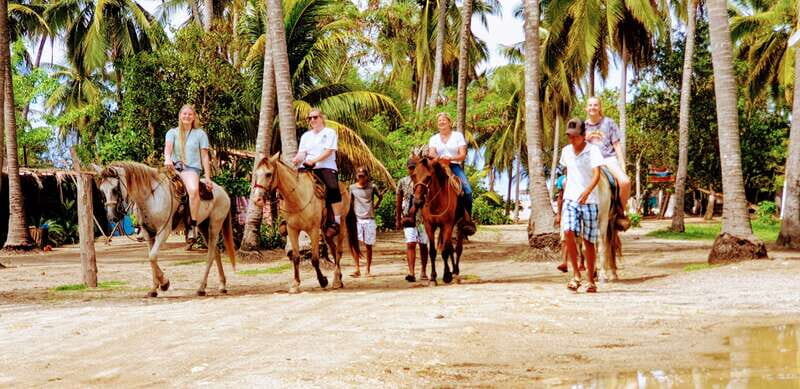 .Beach Horse Riding Turtle Release Crocodile Farm Experience - Authentic Reviews in Context