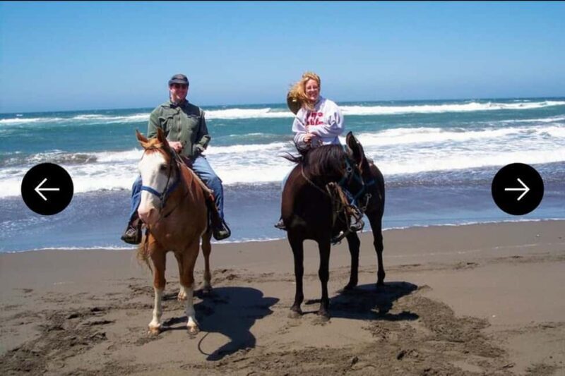 .Beach Horse Riding Turtle Release Crocodile Farm Experience - Final Thoughts