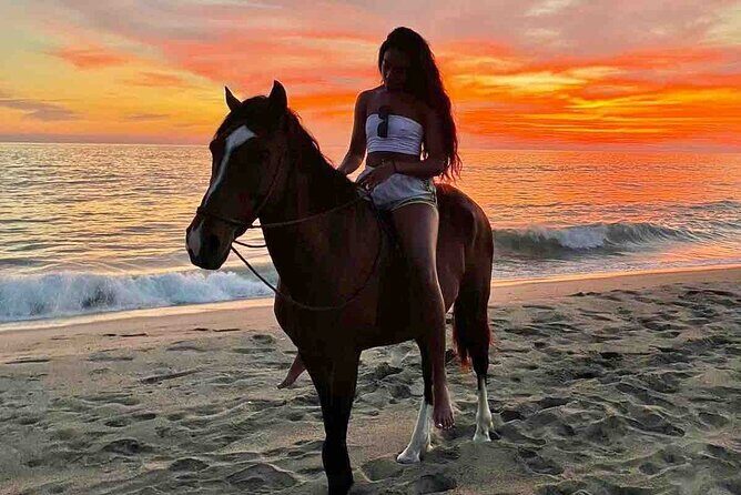 Beach Horseback Riding Adventure in Copalita, Huatulco - Introducing the Beach Horseback Riding Adventure in Copalita, Huatulco