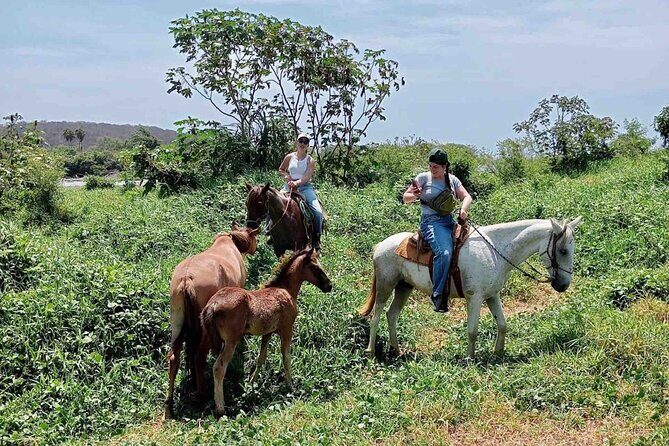 Beach Horseback Riding Adventure in Copalita, Huatulco - What You Can Expect from the Experience