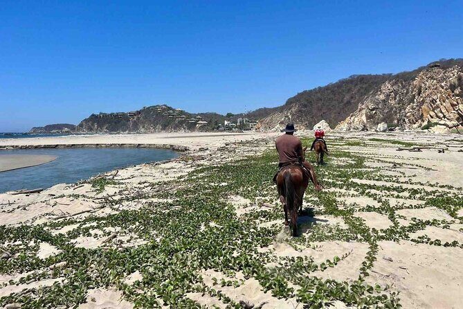 Beach Horseback Riding Adventure in Copalita, Huatulco - The Sum Up
