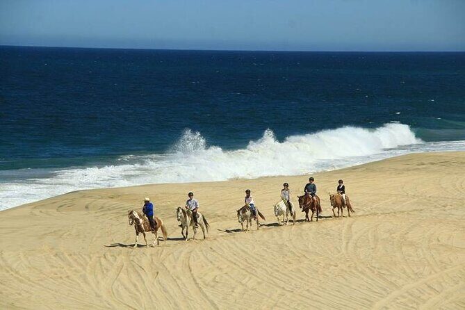 Beach Horseback Riding in Los Cabos - Key Points