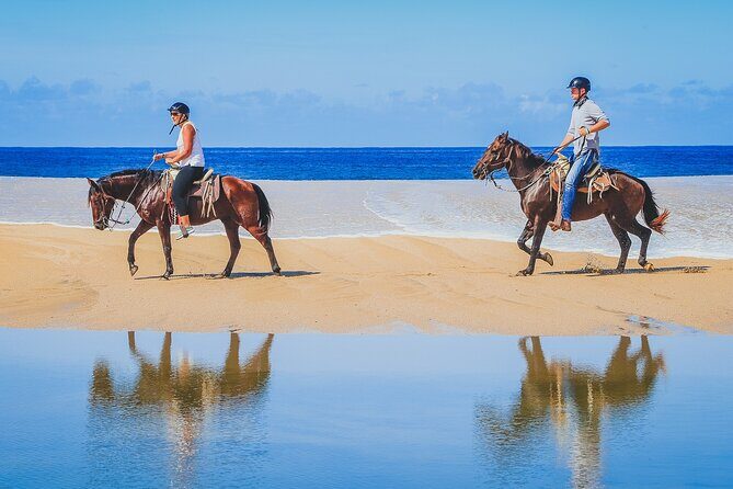 Beach Horseback Riding in Los Cabos - Who Will Love This Tour?
