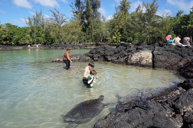 Beach Snorkel - Sea Turtle and Black Sand Lagoon - Experience Considerations