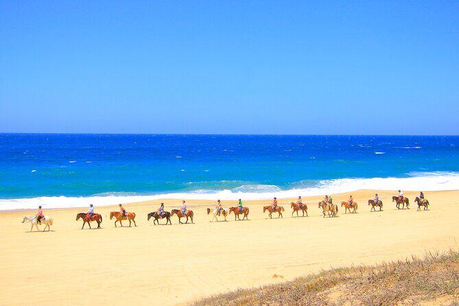 Beach UTV and Horseback Riding in Cabo - Areas for Consideration