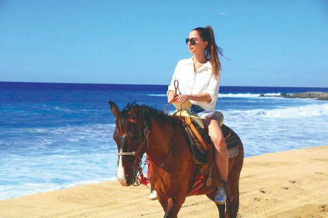 Beach UTV and Horseback Riding in Cabo - Who’s This Tour Best For?