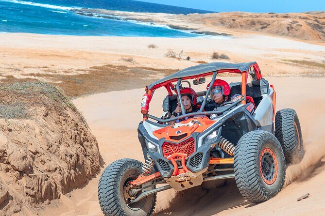 Beach UTV & Camel Ride COMBO in Cabo by Cactus Tours Park - Final Thoughts: Who Will Love This Tour?