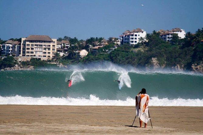 Beaches Dolphins And Viewpoints Discovering The Hidden Port By Sea And Land - In-Depth Look at the Tour Experience