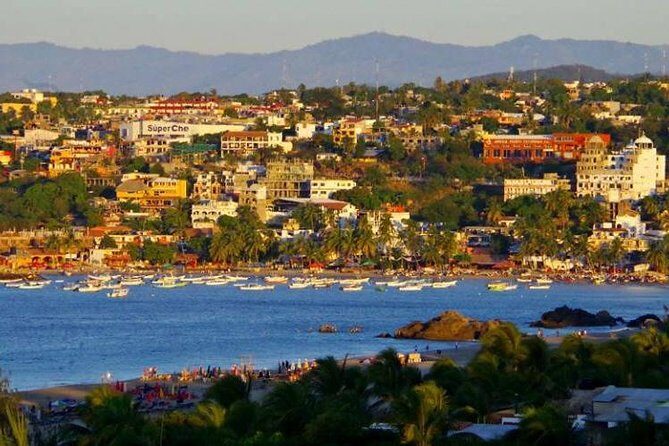 Beaches Dolphins And Viewpoints Discovering The Hidden Port By Sea And Land - The Sum Up