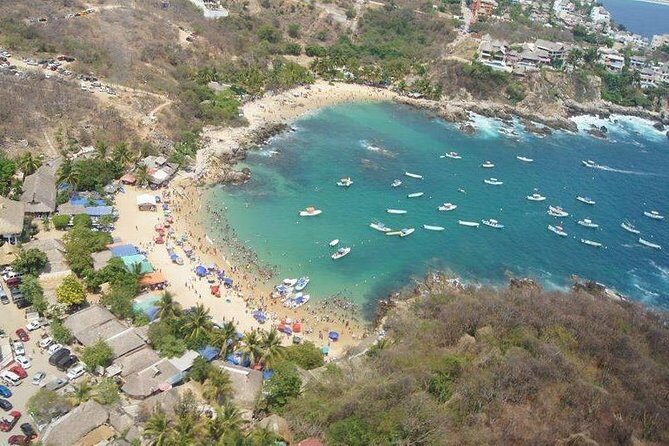 Beaches Dolphins And Viewpoints Discovering The Hidden Port By Sea And Land - FAQ