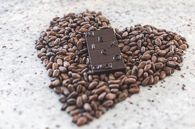 Bean to Bar Chocolate Workshop in Puerto Vallarta - Final Thoughts