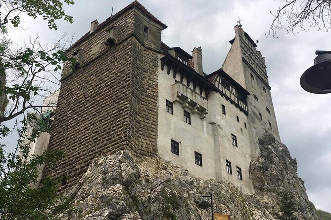 Bear Sanctuary and Bran Castle from Brasov - Final Thoughts