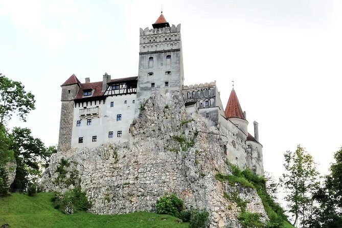 Bear Sanctuary and Dracula's Castle, 1-day Private Tour - Wrapping It Up