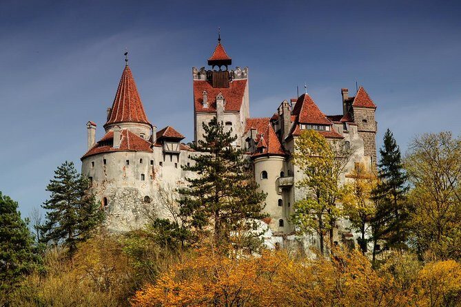 Bear Sanctuary, Bran (Dracula) Castle, Peles Castle From Brasov - The Experience We’re Reviewing