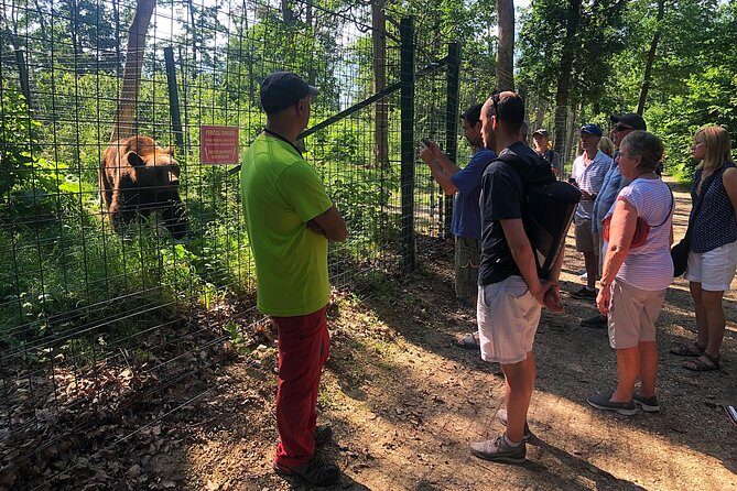 Bear Sanctuary, Bran (Dracula) Castle, Peles Castle From Brasov - FAQ