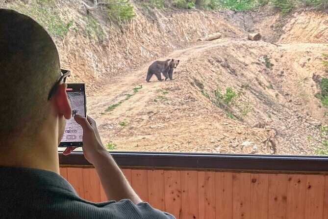 Bear Watching In Brasov: Observe Wild Bears From A Hideout (100%) - Who Is This Tour Best Suited For?