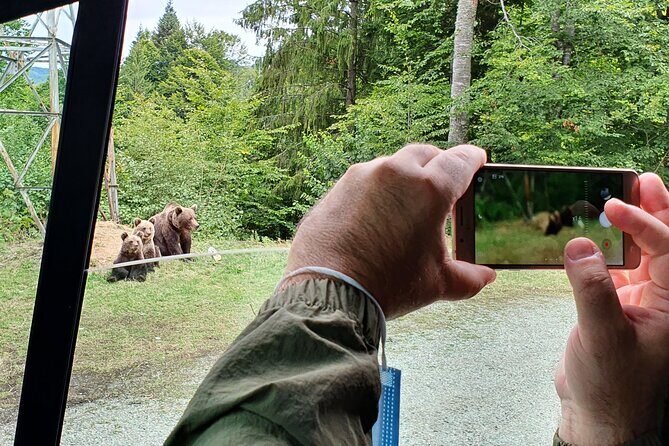 Bears and Dracula Private Full-Day Tour from Bucharest - The Itinerary Breakdown – What to Expect