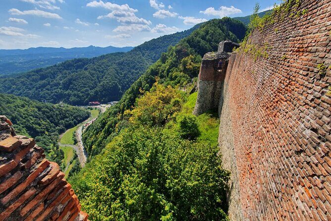 Bears and Dracula Private Full-Day Tour from Bucharest - Wrapping Up