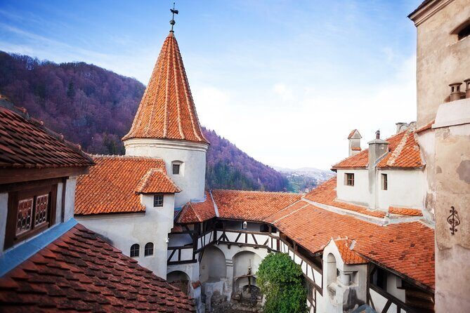 Bears Sanctuary, Dracula Castle and Poiana Brasov-Private day tour from Brasov - A Closer Look at the Itinerary