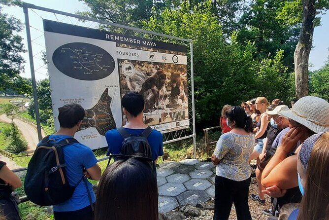 Bears Sanctuary, Dracula Castle and Poiana Brasov-Private day tour from Brasov - Final Thoughts