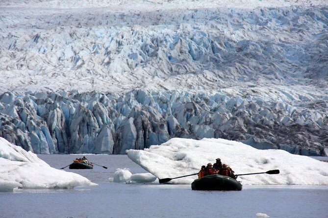 Bears, Trains & Icebergs Tour - Who Should Consider This Tour?