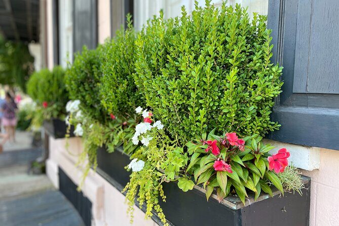 Beat the Heat! Take an Evening History Tour of Charleston! - Final Thoughts: Who Will Love This Tour?