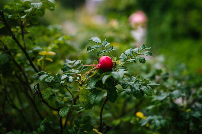 Beatrix Potter's Half Day Lake District Tour Including Lake Cruise - Hawkshead: Whitewashed Lanes and a Wordsworth Connection