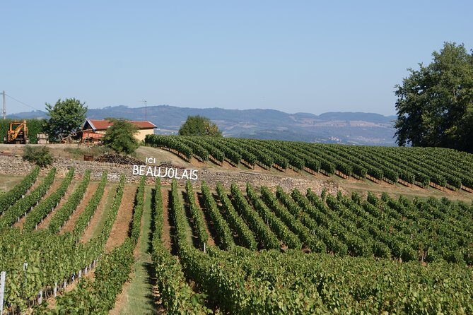 Beaujolais & Perouges Medieval Town (9:00 am to 5:15 pm - Small Group Tour Lyon - Who Should Consider This Tour?