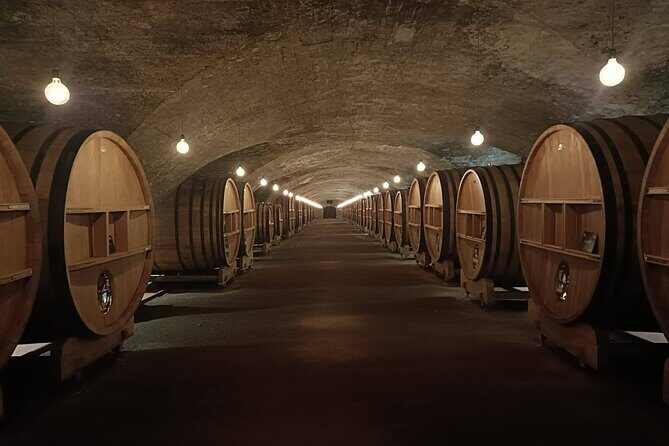 Beaujolais wine and Perouges village full day shared tour - FAQ